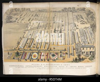 I sigg. Ad esempio Henderson & figlio stabilimento ortofrutticolo, Wellington Road, St John's Wood, Londra. La parte anteriore di aiuole represnting l'effetto prodotto nei mesi di Aprile e Maggio ny la magnifica collezione e la varietà di colore della fioritura precoce di tulipani di biancheria da letto. . Il Bouquet illustrato, costituito da figure, con descrizioni di nuovi fiori. Londra, 1857-64. Fonte: 1823.c.13. Autore: Henderson, Edward George. Foto Stock