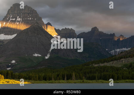 Alberi di pino alla base del Monte Wilbur nel Glacier Foto Stock