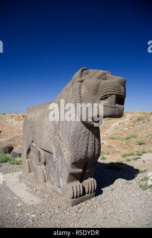 Siria, Aleppo, l'ottavo secolo BC Hittita tempio di Ain Dara, Lion Carving Foto Stock