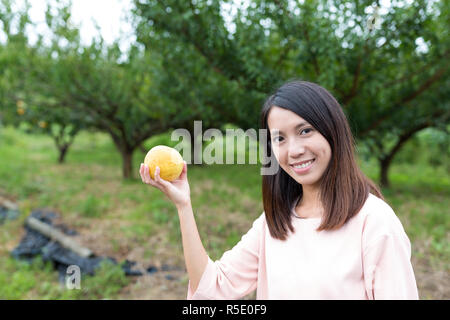 Donna raccolta una pera in un giardino Foto Stock