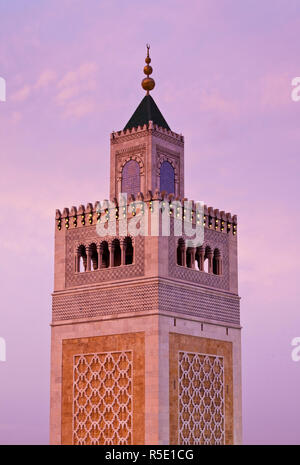 La Tunisia, Tunisi, Medina, Moschea Zaytouna-Great Foto Stock