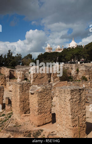 La Tunisia, Tunisi, Cartagine Byrsa Hill, di epoca romana rovine Foto Stock