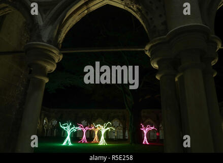 Cinque albero come strutture che compongono il pezzo di arte 'LUMEN', sedersi nel chiostro garth, in occasione del lancio della Cattedrale di Salisbury si illumina Avvento installazioni artistiche, intitolato dalle tenebre alla luce. Foto Stock