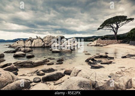 Francia, Corsica, Corse-du-Sud Dipartimento, Corsica Costa Sud Regione, Porto Vecchio-zona, Plage de la spiaggia di Palombaggia, Tamariccio Nature Preserve Foto Stock