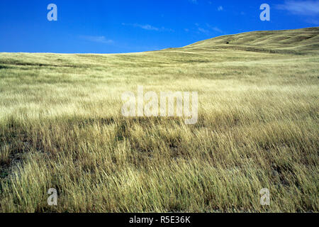 Il paesaggio nei pressi di David Gareja monastero, Kakheti, Georgia Foto Stock