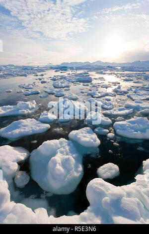 Tiniteqilaq e mare di ghiaccio nel fiordo, E. Groenlandia Foto Stock