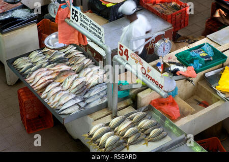 Panama, Panama City, el Mercado del Mariscos, mercato del pesce, Pesce fornitore, Casco Viejo Foto Stock