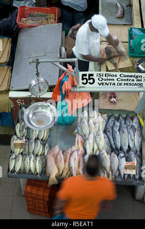 Panama, Panama City, el Mercado del Mariscos, mercato del pesce, Pesce fornitore, Casco Viejo Foto Stock