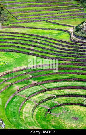Moray, sito archeologico, Cuzco, Perù Foto Stock