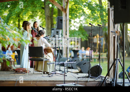 TRAKAI, Lituania - 16 giugno 2018: rievocazione storica attivisti giocando folk-rock musica durante l'annuale Festival medievale, svoltasi a Trakai Peninsular Foto Stock