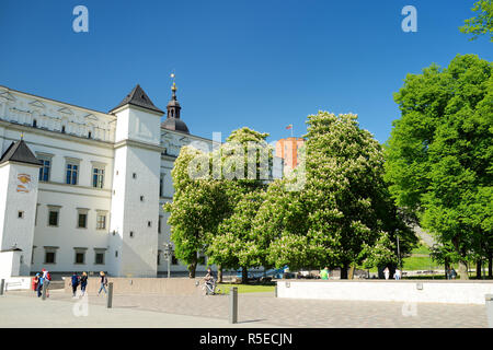 Il Palazzo dei Granduchi di Lituania, un palazzo a Vilnius, originariamente costruito nel XV secolo per i governanti del Granducato di Lithu Foto Stock