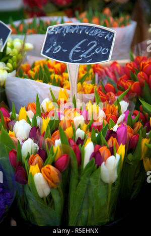 Il mercato dei fiori di Amsterdam, Paesi Bassi Foto Stock