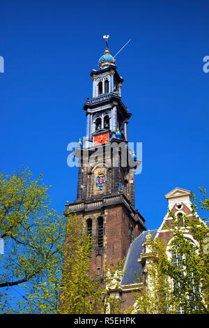 Westerkerk, Chiesa occidentale, Amsterdam, Paesi Bassi Foto Stock