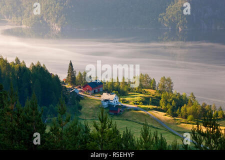 Early Morning mist, Masfjorden, Hordaland, Norvegia Foto Stock