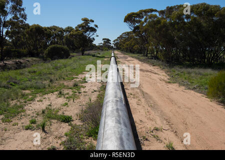 Una sezione di tubazione dell'acqua Goldfields schema di alimentazione. Il tubo corre per la maggior parte al di sopra del suolo e forniture Kalgoorlie con acqua. Foto Stock