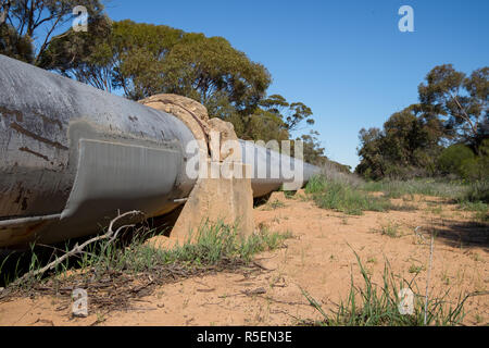 Una sezione di tubazione dell'acqua Goldfields schema di alimentazione. Il tubo corre per la maggior parte al di sopra del suolo e forniture Kalgoorlie con acqua. Foto Stock