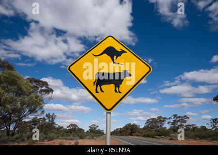 Latte di mucca e di attraversamento di canguro segno di allarme nelle zone rurali del Western Australia. Foto Stock
