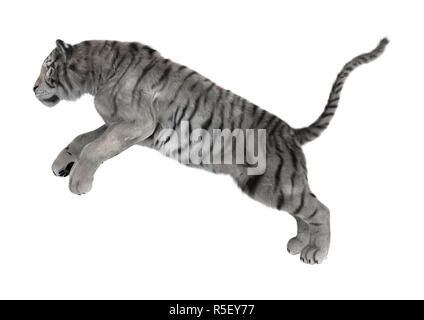 3D Rendering Tigre Bianca su bianco Foto Stock