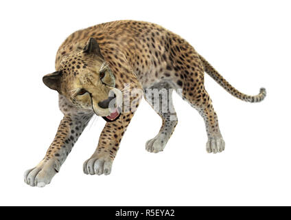 3D Rendering Cheetah su bianco Foto Stock