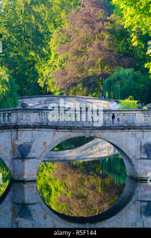 Regno Unito, Inghilterra, Cambridge, spalle, chiara e King's College di ponti sul fiume Cam Foto Stock