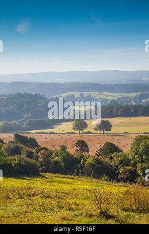 North Downs, Surrey, England, Regno Unito Foto Stock