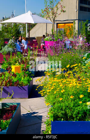 Regno Unito, Inghilterra, Londra, Southbank, Queen Elizabeth Hall Roof Garden Foto Stock