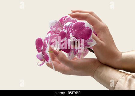 Immagine di arte della bella donna elegante con le mani di fiori di orchidea su sfondo chiaro. Grazioso mani con french manicure Foto Stock