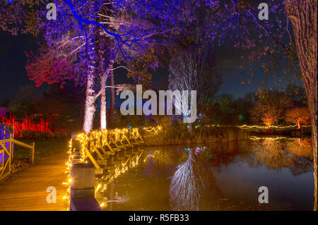 RHS Wisley, Surrey, Regno Unito. 30 Novembre, 2018. Spettacolare botanicamente-ispirato luminarie stagionali da Jigantics accendere ad RHS Wisley. Foto Stock