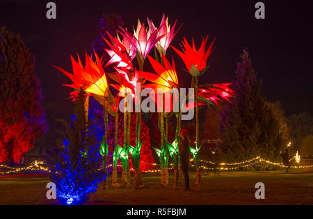 RHS Wisley, Surrey, Regno Unito. 30 Novembre, 2018. Spettacolare botanicamente-ispirato luminarie stagionali da Jigantics accendere ad RHS Wisley. Foto Stock