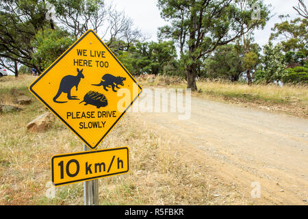 Hobart, Tasmania - 27 dicembre 2016: lato strada segno di avvertimento per il canguro della Tasmania, diavoli della Tasmania e echidna fauna selvatica Foto Stock