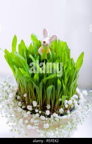 Bunny, uova e fiori bianchi simboli pasquali. Foto Stock