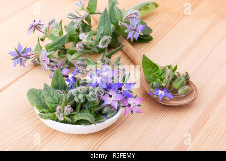 Ciotola e cucchiaio di legno con borragine Foto Stock