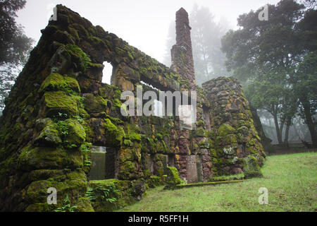 Stati Uniti d'America, la California, la California del Nord, Sonoma Wine Country, Glen Ellen, Jack London State Historical Park, ex tenuta di scrittore Jack London, rovine di Wolf House Mansion, distrutto da un incendio nel 1913 Foto Stock