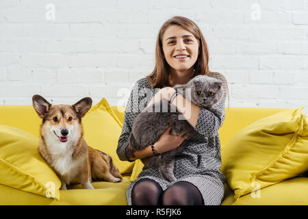 Attraente donna seduta su un divano con divertenti pembroke welsh corgi e carino Scottish Fold cat Foto Stock
