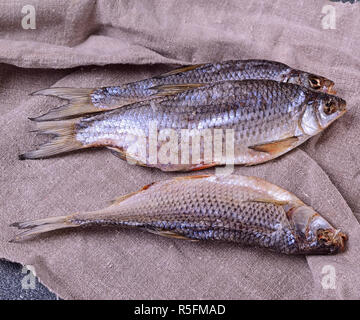 Essiccati pesci di fiume di ram su un tovagliolo grigio Foto Stock