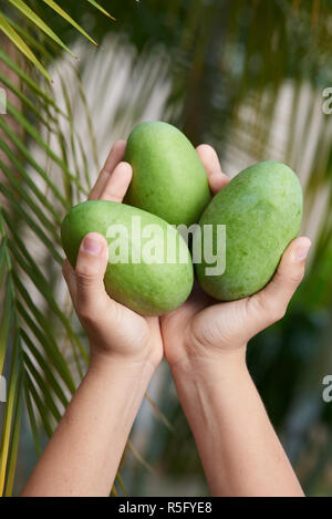 Donna che mantiene green mango outdoor su sfondo sfocato Foto Stock