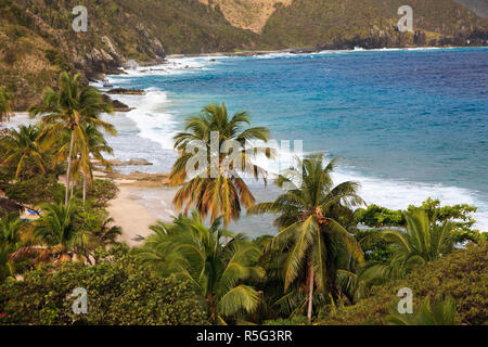 Caraibi, Isole Vergini americane, St. Croix, canna Giardino Bay Foto Stock