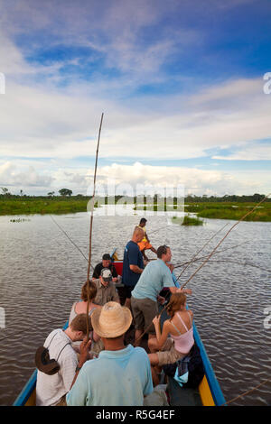 Venezuela, Delta Amacuro, Delta Orinoco, fiume Tigre, turisti pesca Piranha Foto Stock