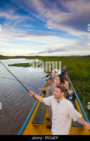 Venezuela, Delta Amacuro, Delta Orinoco, fiume Tigre, turisti pesca Piranha Foto Stock