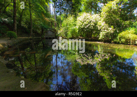 Alfred nicholas gardens dandenongs Foto Stock