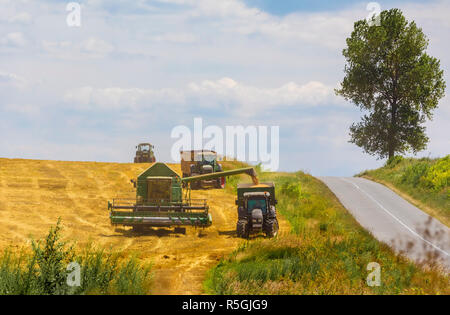 Mietitrebbia in azione sul campo di grano Foto Stock