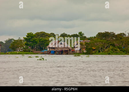 Amazzonia peruviana di Iquitos, Perù Foto Stock