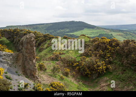 Cliff Rigg cava nei pressi di Roseberry Topping nelle colline del North Yorkshire, Inghilterra. Foto Stock