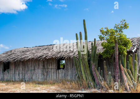 Guadua tradizionali case di legno a La Guajira, Colombia Foto Stock