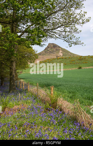 Vista di Roseberry Topping nel North York Moors National Park, Inghilterra. Foto Stock