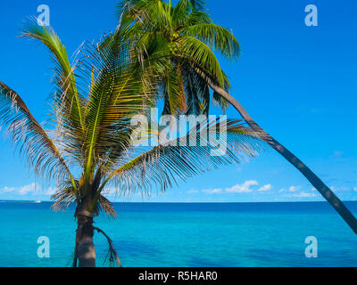 Villaggio Embudu Island, Maledives, Oceano Indiano Foto Stock