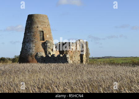 L' Abbazia di San Benet' a Holme accanto al fiume Bure, Norfolk Broads, England Regno Unito Foto Stock