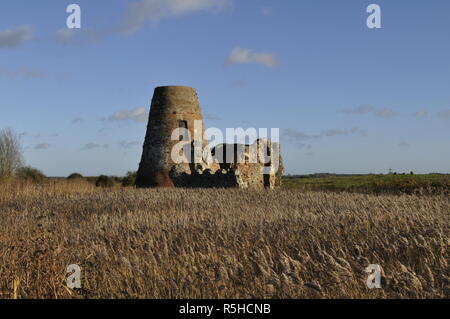 L' Abbazia di San Benet' a Holme accanto al fiume Bure, Norfolk Broads, England Regno Unito Foto Stock