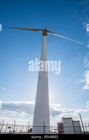 Enorme di generazione eolica turbina. Altezza del pilastro è 50m. È la stessa altezza come Godzilla(il primo). Il diametro del rotore è di 50m. Aoyama altopiano, Giappone Foto Stock