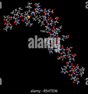 Beta amiloide (Abeta peptide). Componente principale delle placche trovati nella malattia di Alzheimer. 3D rendering basato sulla banca dati di proteine la voce 1iyt. Sfera-e-st Foto Stock